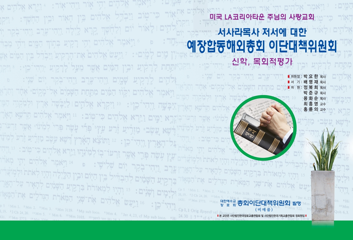 예장합동해외총회 이대위 보고서.